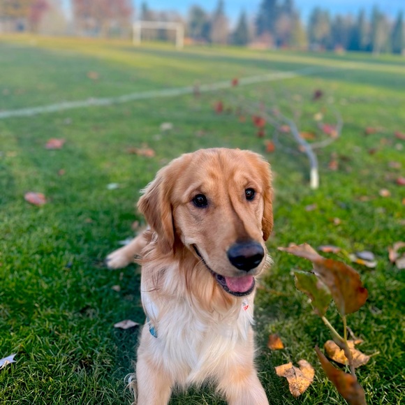 Hello and welcome to my closet!!! - Picture 2 of 3